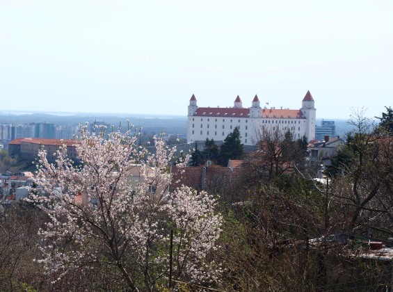 Bratislavský hrad Foto Martha Bielska